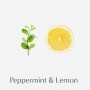 Шампунь для волос Dr. Seed Peppermint & Lemon Vegan Dandruff Cool Anti Hairloss Shampoo, 1 л