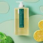 Шампунь для волос Dr. Seed Peppermint & Lemon Vegan Dandruff Cool Anti Hairloss Shampoo, 1 л