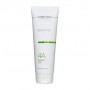 Растительный пилинг для лица Christina Biophyto 4 А Herbal Peel, 250 мл