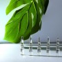 Ампулы для восстановления кожи лица Academie Sea Collagen Intensive Age Recovery Booster Ampoules Морской коллаген, 7*2 мл