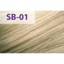 Стойкая крем-краска для волос jNOWA Professional Siena Chromatic Save Special Blond Hair Color Cream SB/01, 90 мл