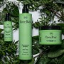 Укрепляющий шампунь для волос RoseBaie Shampooing Keratine X Aloe Vera, 500 мл