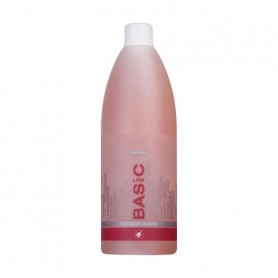 Шампунь после окрашивания волос Spa Master Basic Line Post Color Shampoo pH 4.5, 970 мл