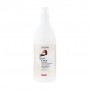 Шампунь Glossco Professional Grandma's Remedies Coconut Shampoo для сухих и поврежденных волос, с кокосом, 1 л
