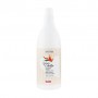 Шампунь для волос Glossco Professional Grandma's Remedies Onion Shampoo с луком, 1 л