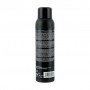 Сухой шампунь для волос Erayba Style Active Dry Shampoo S12, 150 мл