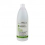Шампунь Spa Master Trichology Therapy Anti Dandruff Hairloss & Shampoo против перхоти и выпадения волос, 970 мл