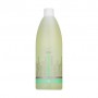 Шампунь для ежедневного использования Spa Master Everyday Line Everyday Shampoo, 970 мл