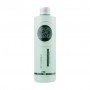 Шампунь для волос BBcos Green Care Essence Anti-Dandruff Shampoo против перхоти, 250 мл