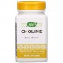 Комплекс для профилактики работы головного мозга Nature's Way Choline 500 mg 100 Veg Tabs NWY-40460 (880489)