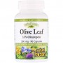 Экстракт оливы Natural Factors Olive Leaf 500 mg 90 Caps NFS04570 (1482042)