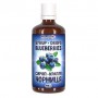 Комплекс для профилактики зрения Bioactive Universe Blueberries Syrup-Drops 100 ml /20 servings/ (1443728)