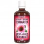 Эхинацея Bioactive Universe Echinacea Syrup-Drops 100 ml /10 servings/ (1443839)