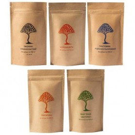 Грибной комплекс Дедушка Мухомор Набор “Активная жизнь” (4 вида грибов + Сбор трав Детокс ) 60 + 60 + 60 + 60 + 60 капсул (10376