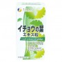 Гинкго Билоба Fine Japan Ginkgo Biloba Extract 400 Tabs (1140090)