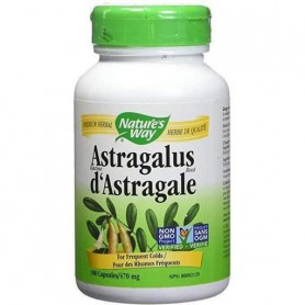 Корень астрагала Nature's Way Astragalus Root 470 mg 100 Caps (861528)