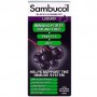Бузина Sambucol Black Elderberry Immuno Forte Sugar Free 120 ml /12 servings/ (859879)