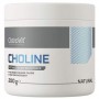 Комплекс для профилактики работы головного мозга OstroVit Choline 200 g /400 servings/ (1452157)
