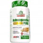Ашфаганда для спорта Amix Nutrition GreenDay ProVegan Ashwagandha KSM-66 Pure 60 Veg Caps (1044588)