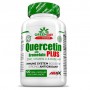 Кверцетин Amix Nutrition GreenDay ProVegan Quercetin with Bromelain Plus 120 Veg Caps (878633)