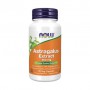 Астрагал 70% NOW Foods Astragalus Extract 500 мг, 90 капсул
