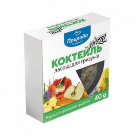 Лакомство для грызунов Природа Пицца, 40 г