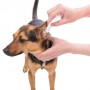 Салфетки для кошек, собак и грызунов Trixie Ear-Care для ухода за ушами, 30 шт