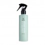 Термозащитный спрей для волос Bogenia Centella Hair Spray, 250 мл