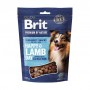 Лакомства для взрослых собак Brit Premium by Nature Semi-Moist Snacks полувлажные, с ягненком и облепихой, 180 г