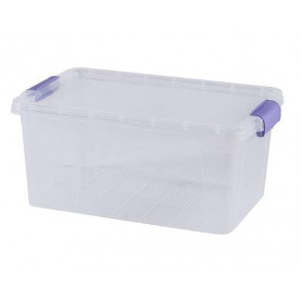 Контейнер Violet House Family Box (6579598) (1638086)