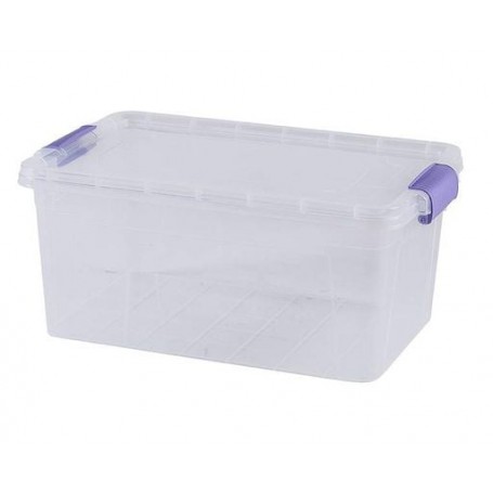 Контейнер Violet House Family Box (6579598) (1638086)