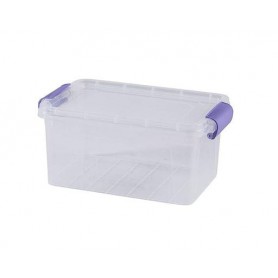 Контейнер Violet House Family Box (6579593) (1637224)