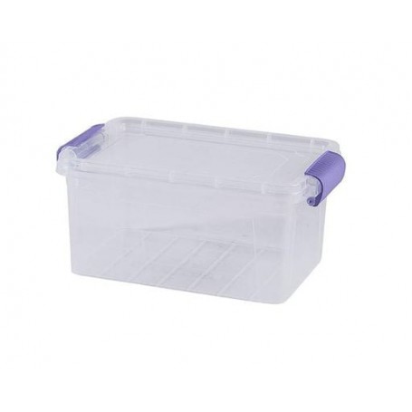 Контейнер Violet House Family Box (6579593) (1637224)