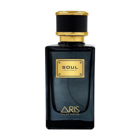 Aris Soul Парфюмированная вода мужская, 100 мл