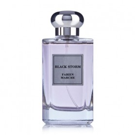 Fabien Marche Black Black Storm Парфюмированная вода мужская, 100 мл