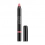 Сияющая помада-карандаш для губ ViSTUDIO Glossy Lipstick 501 Salmon, 12 г