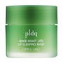 Ночная маска для губ Pldq Good Night Lips Lip Sleeping Mask Яблоко-лайм, 20 г