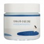 Увлажняющий крем для лица Round Lab Birch Juice Moisturizing Cream с березовым соком, 80 мл