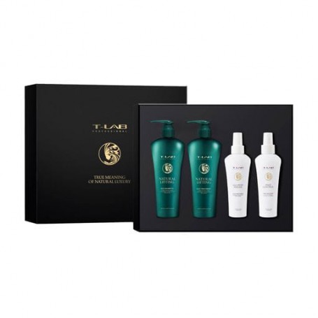 Набор для волос T-Lab Professional (шампунь, 300 мл + кондиционер, 300 мл + All Over Dream 15 in 1 Cream, 150 мл + Frizz Control