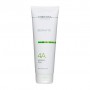 Растительный пилинг для лица Christina Biophyto 4 А Herbal Peel, 250 мл
