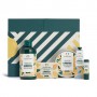 Подарочный набор The Body Shop Миндальное молочко (крем для душа, 250 мл + масло для тела, 200 мл + бальзам для губ, 4.2 г + мыл