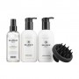 Набор для придания объема волосам Balmain Volume Care Set (шампунь, 300 мл + кондиционер, 300 мл + спрей, 200 мл + массажная щет